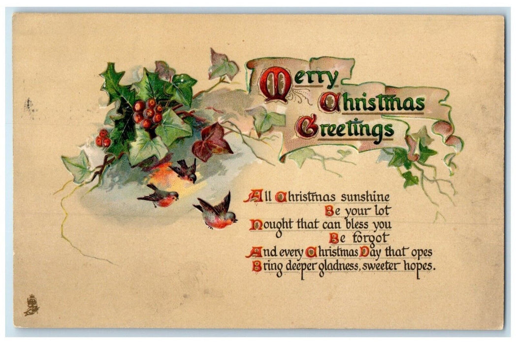 c1910's Christmas Greetings Ivy Leaf And Birds Embossed Tuck's Antique Postcard