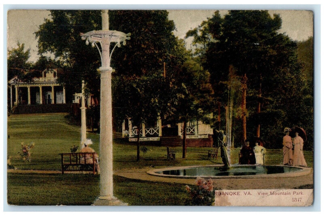 c1910's View Mountain Park Coca Cola Roanoke Virginia VA Posted Antique Postcard