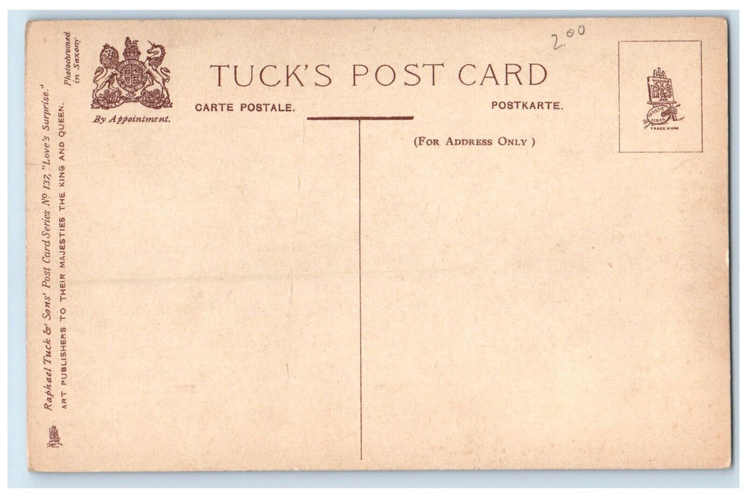 c1910's Valentine Man Surprised Woman Writing Tuck's Unposted Antique Postcard