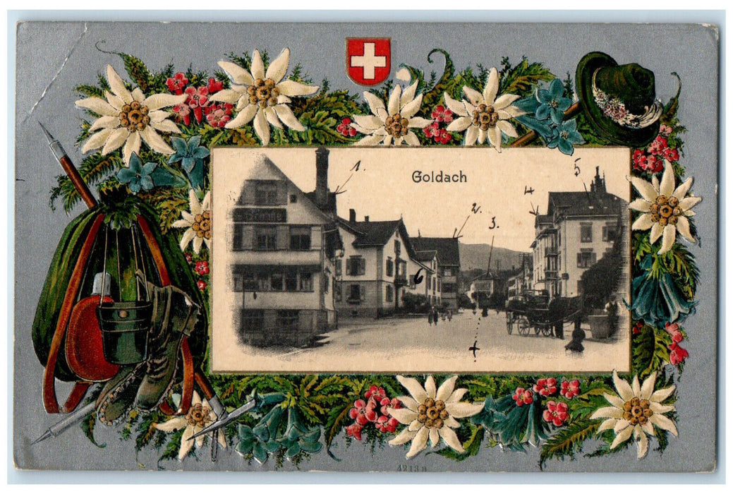 c1910 Flower Country Logo Hat Goldach Switzerland Switzerland Posted Postcard