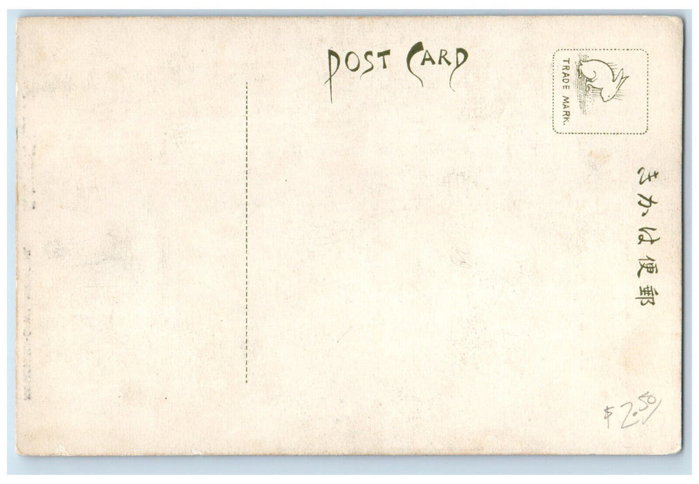 c1910 Waterfalls Scene Nakashima-Gawa Nagasaki Japan Antique Postcard