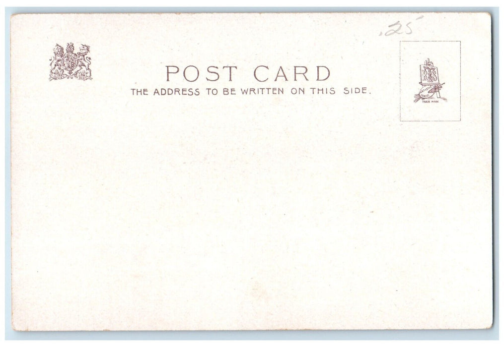 c1905 Valentine Love Offering Flowers In Box Unposted Antique Postcard