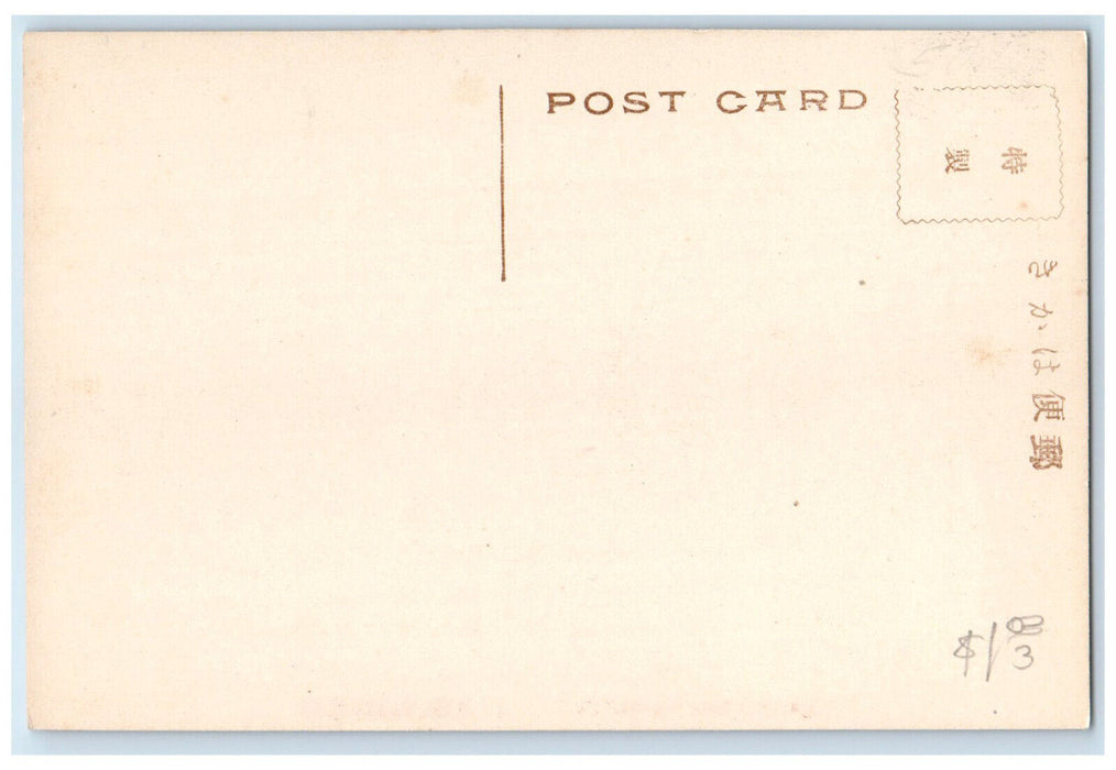 c1930's The Entrance Gate of Nansenji Kyoto Japan Vintage Posted Postcard