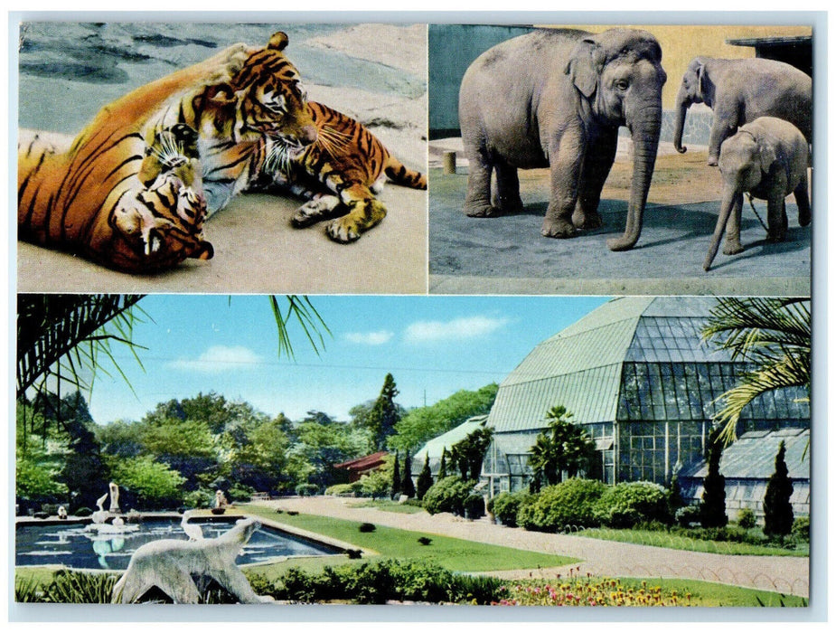 c1950's Higashiyama Park Zoo Botanical Garden Japan Tiger Elephant Postcard