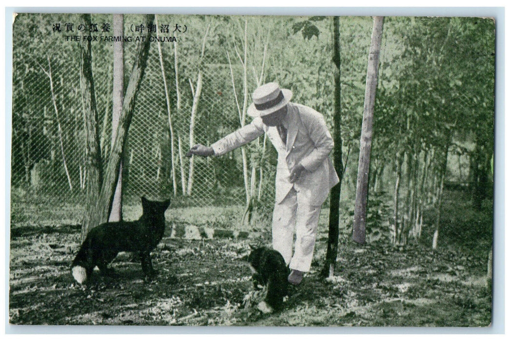 1928 Man Wearing White Suit The Fox Farming at Onuma Japan Vintage Postcard