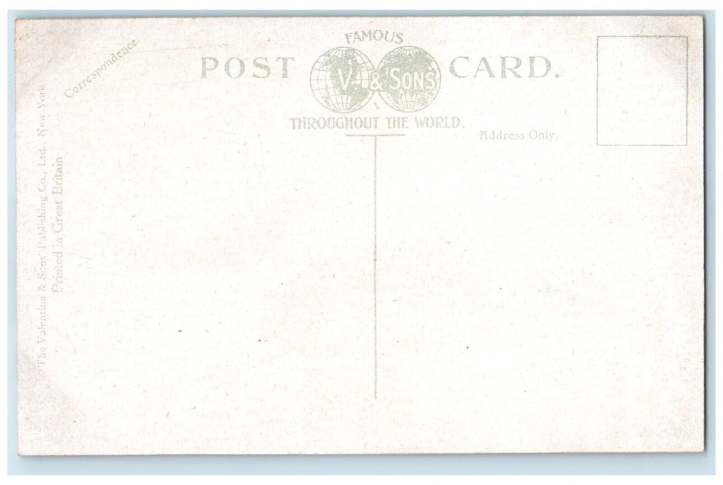 c1910's Delaware Avenue House Scene Buffalo New York NY Antique Postcard