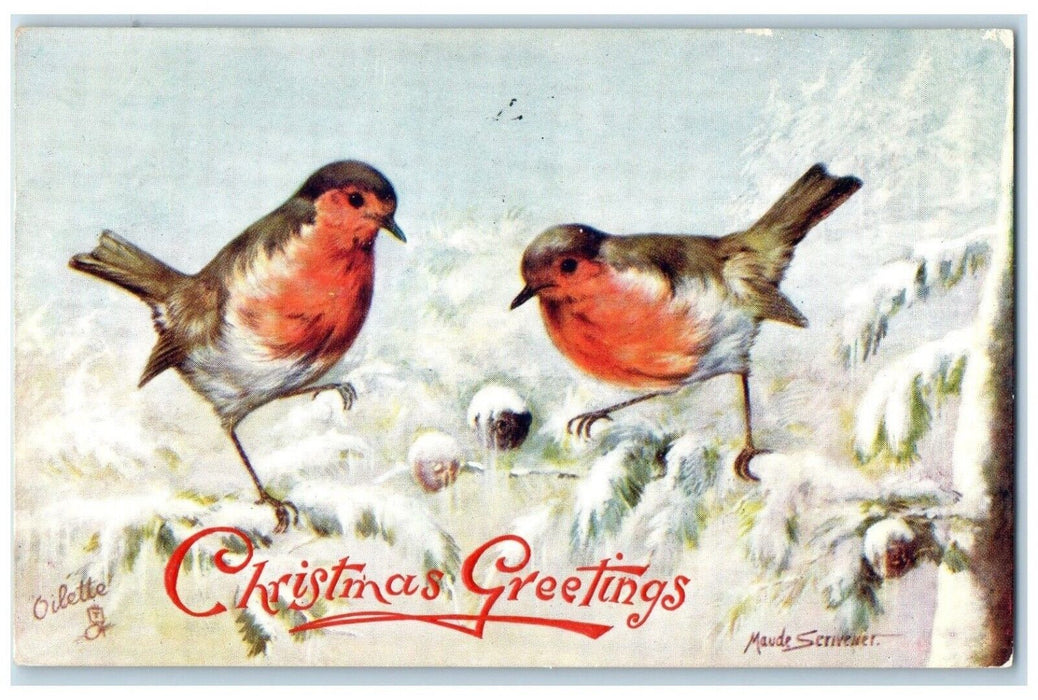 1908 Christmas Greetings Birds Winter Snow Oilette Tuck's Newark NJ Postcard