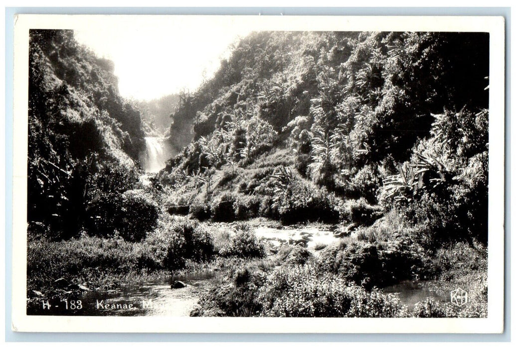c1940's View Of Keanae Maui Hawaii HI RPPC Photo Unposted Antique Postcard