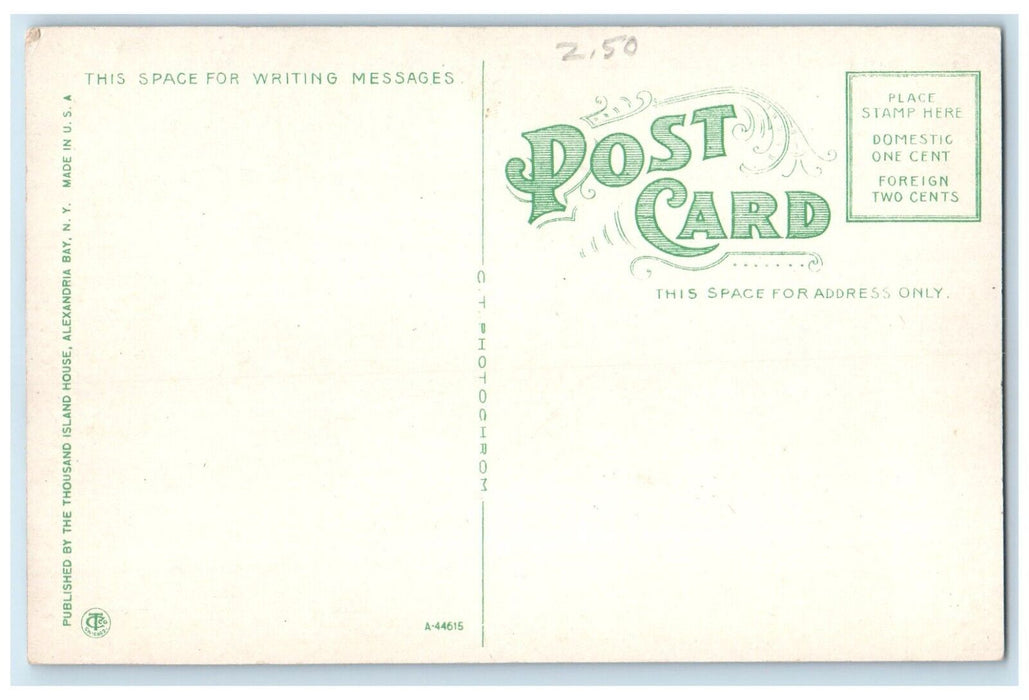 c1910 Thousand Island House OG Staples Prop Alexandria Bay New York NY Postcard