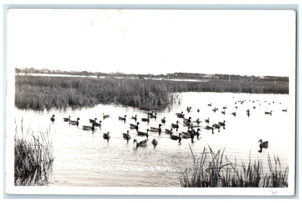c1940's View Of Duck Hunting Sebewaing Michigan MI RPPC Photo Vintage Postcard