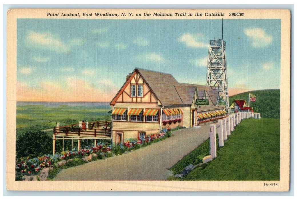 c1940 Point Lookout Mohican Trail Catskills Field East Windham New York Postcard