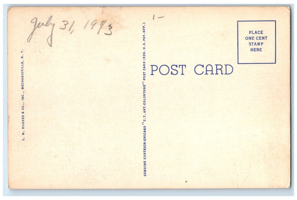 c1940 Point Lookout Mohican Trail Catskills Field East Windham New York Postcard