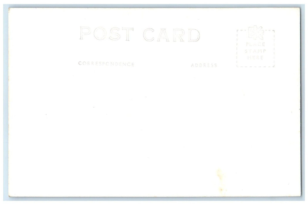 c1940's Aspens On San Francisco Peaks Arizona AZ RPPC Photo Vintage Postcard