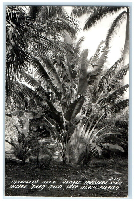 Traveler's Palm Jungle Treasure House Vero Beach Florida FL RPPC Photo Postcard