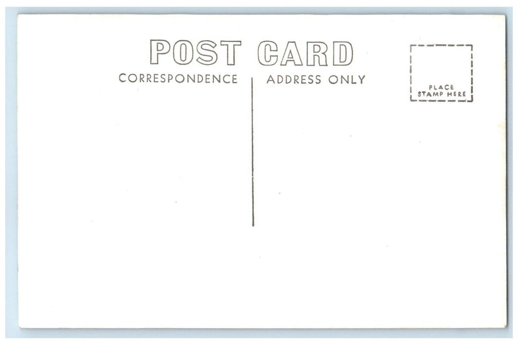 c1940's San Francisco Peaks Flagstaff Arizona AZ RPPC Photo Vintage Postcard