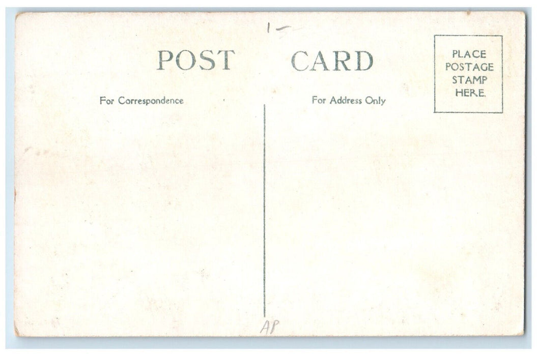 c1920 North Street Delaware Ave. Showing Hotel Lenox Buffalo New York Postcard