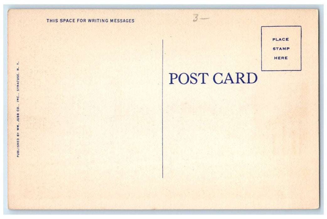 c1940 Business Section Oneida Street Classic Cars Road Fulton New York Postcard
