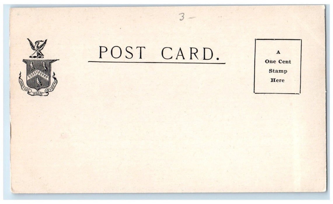 1905 Lawn Private Conservatories John Lewis Childs Floral Park New York Postcard