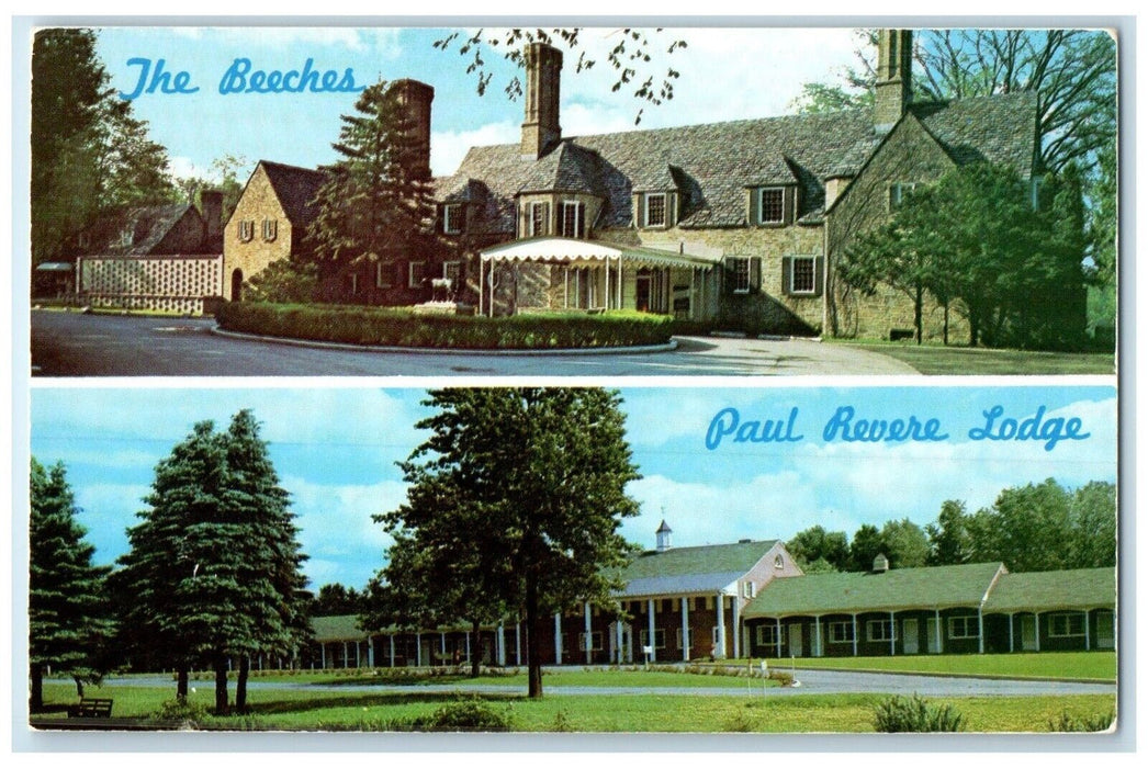 c1960 Perfect Pair Beeches Paul Revere Lodge Rome Rochester New York NY Postcard