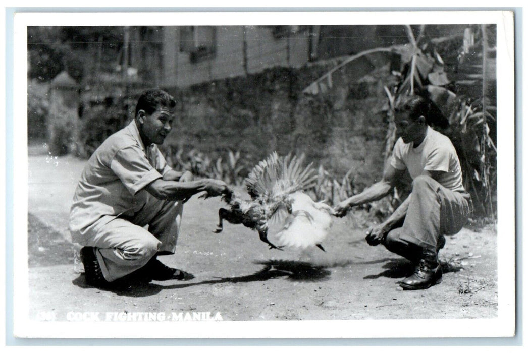 c1950's Cock Fighting Manila Philippines RPPC Photo Unposted Vintage Postcard