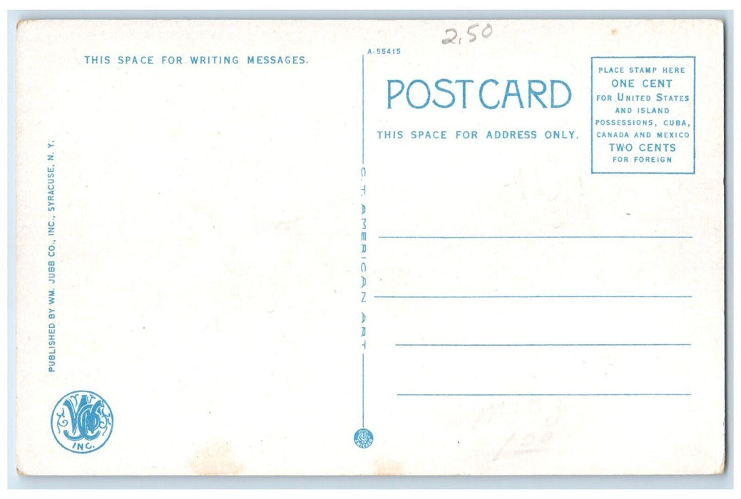 c1920 Busy Day North James Street Road Streetcar Rome New York Unposted Postcard
