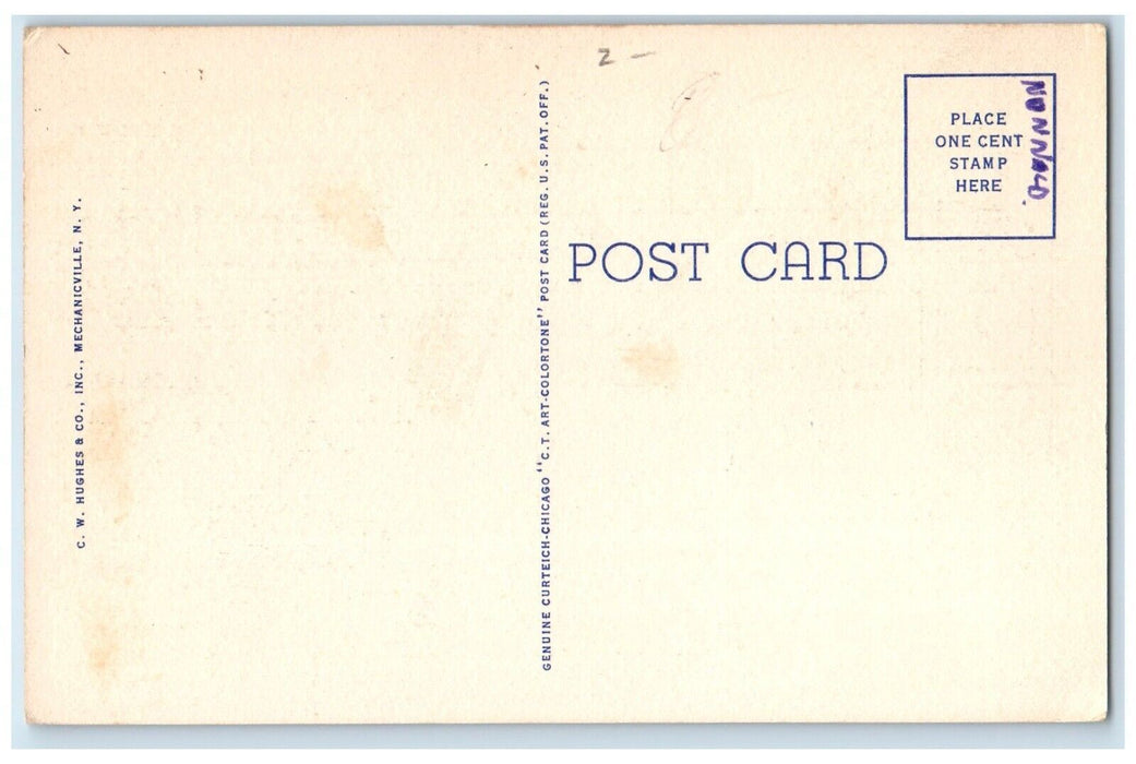 Zig Zag Curve Mt. Van Hoevenberg Olympic Bob Run Lake Placid NY Postcard