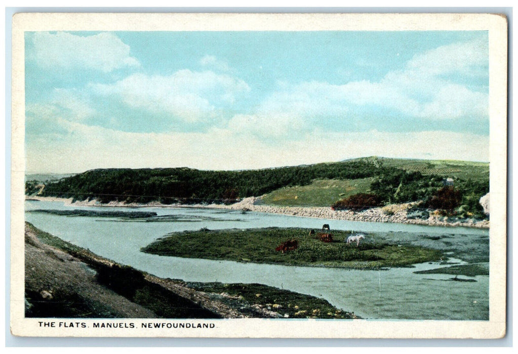 c1930's The Flats Manuels Newfoundland Canada Unposted Vintage Postcard