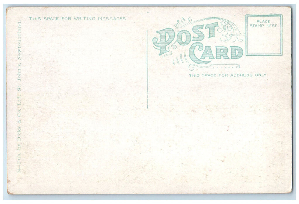 c1930's The Flats Manuels Newfoundland Canada Unposted Vintage Postcard