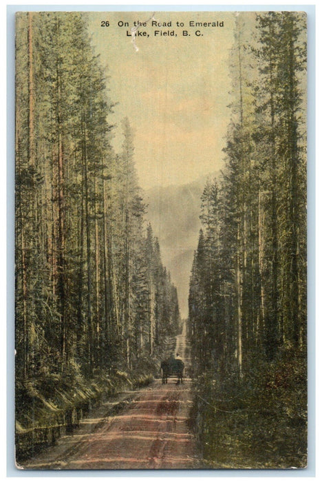 c1910 Road to Emerald Lake Field British Columbia Canada Advertisement Postcard
