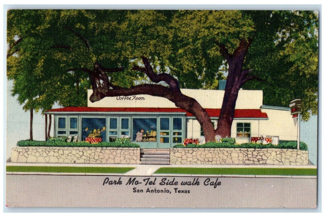 c1940 Park Mo-Tel Side-Walk Cafe Big Tree Exterior San Antonio Texas TX Postcard