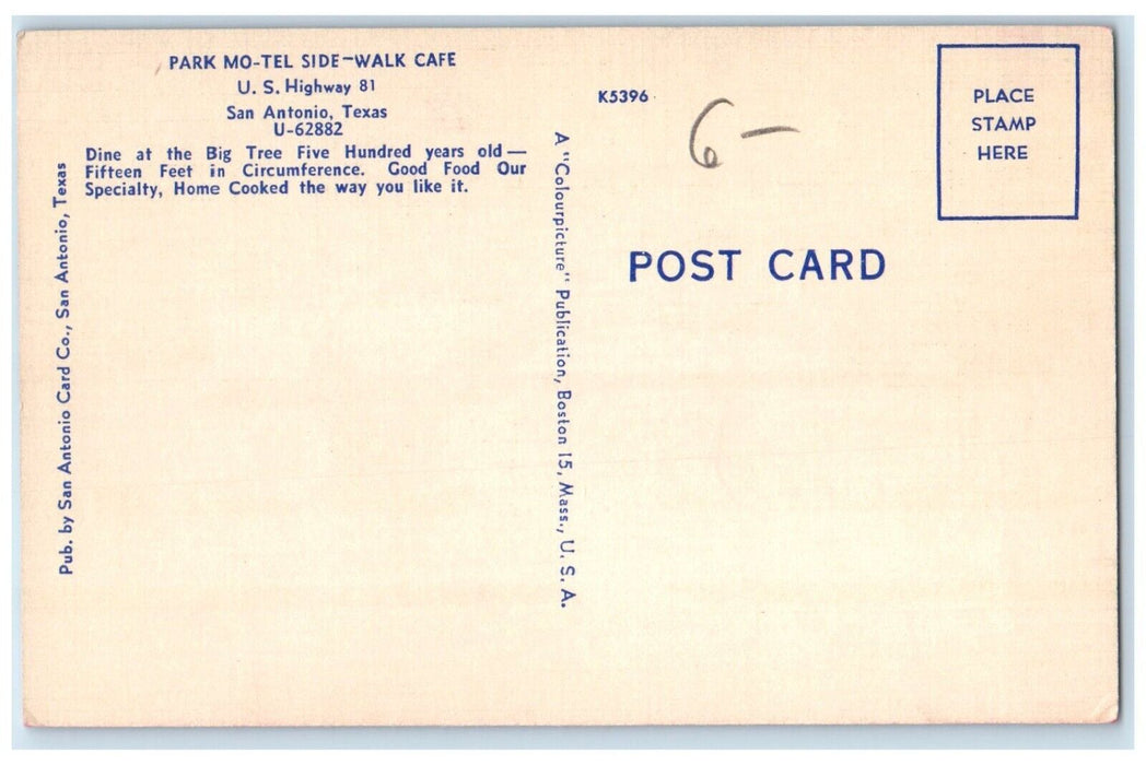 c1940 Park Mo-Tel Side-Walk Cafe Big Tree Exterior San Antonio Texas TX Postcard