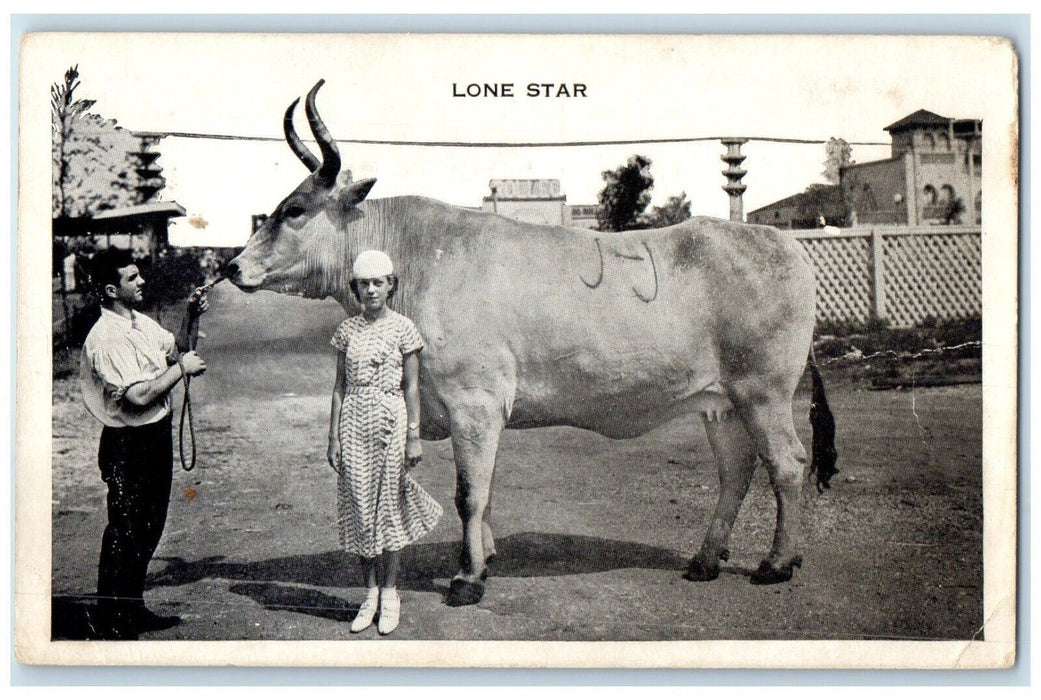 c1940 Lone Star Cattle Breed Cow JJ Ranch Maulsby San Antonio Texas TX Postcard