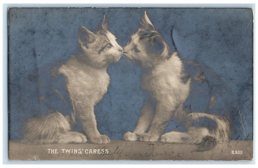 1906 Cute Cat Kissing The Twin's Caress RPPC Photo Northwood ND Antique Postcard