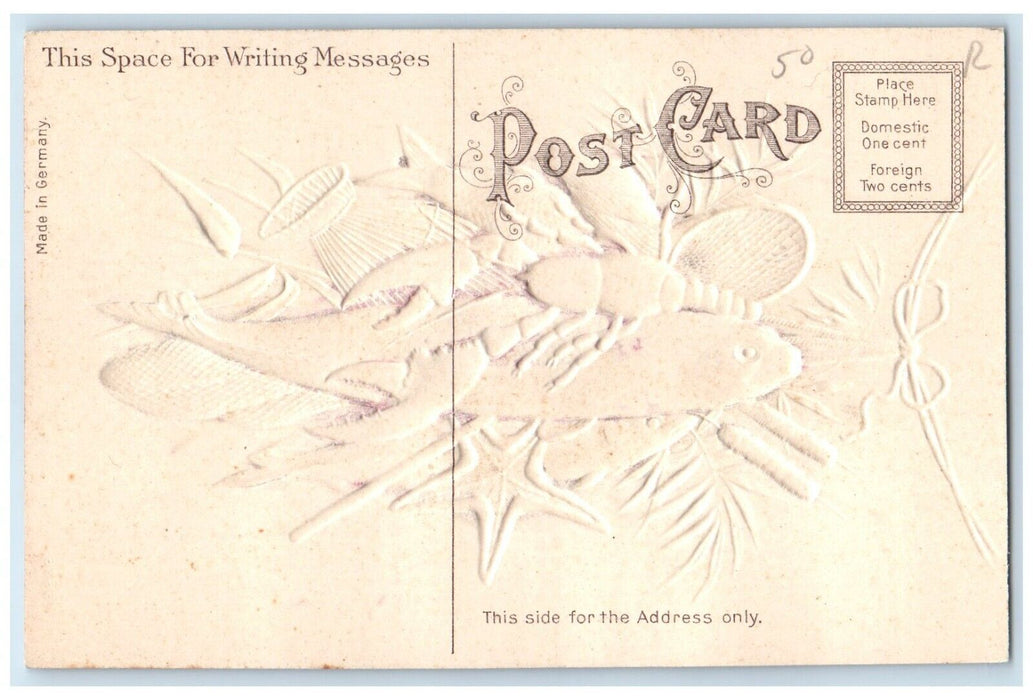c1910's Catches Fishes Lobster Starfish Airbrushed Embossed Antique Postcard