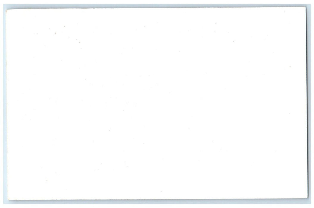 c1950's Reindeer Animal Frank Philips Ranch Woolaroc Oklahoma Vintage Postcard