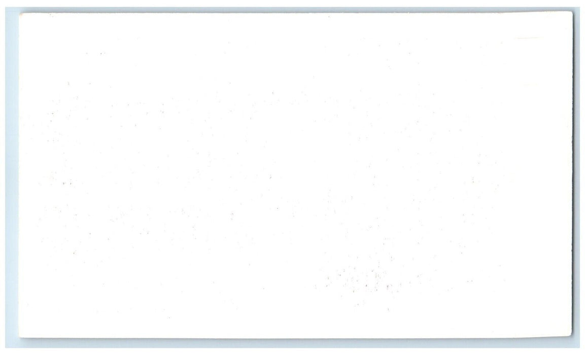 c1950's Flamingo Animal Frank Philips Ranch Woolaroc Oklahoma Vintage Postcard