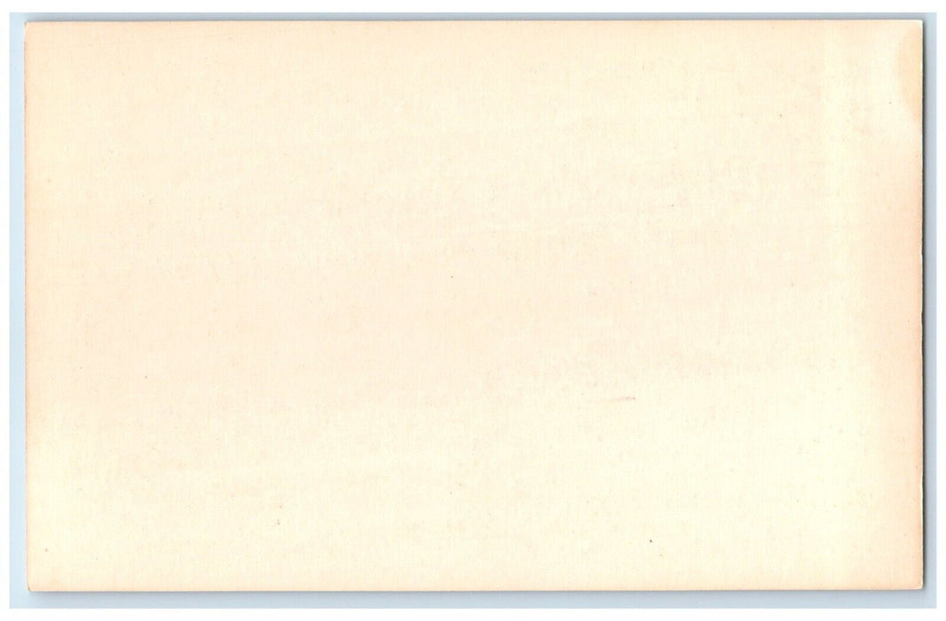 c1950's Zebu Bull Animal Frank Philips Ranch Woolaroc Oklahoma Vintage Postcard