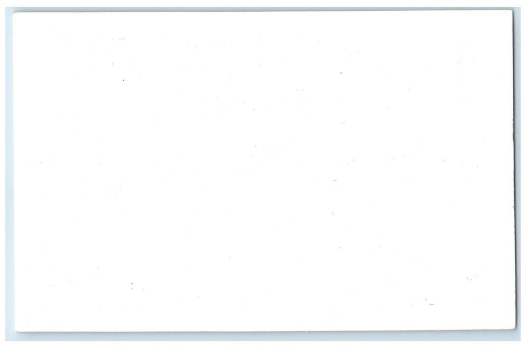 c1950's  Deer Frank Philips Ranch Woolaroc Oklahoma OK Vintage Antique Postcard