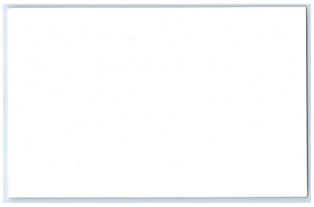 c1950's  Wild Turkeys Frank Philips Ranch Woolaroc Oklahoma OK Vintage Postcard