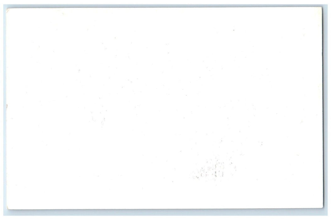 c1950's  Zebra Animal Frank Philips Ranch Woolaroc Oklahoma OK Vintage Postcard