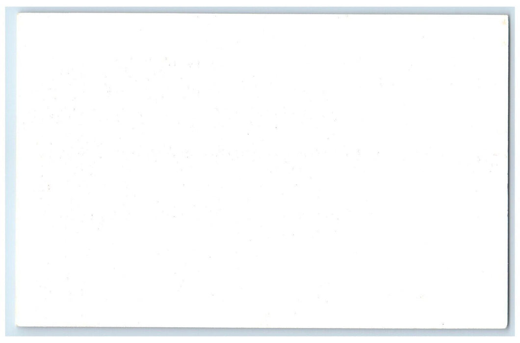 c1950's  Bison Bulls Frank Philips Ranch Woolaroc Oklahoma OK Vintage Postcard