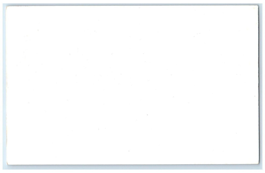 c1950's  Zebra Camel Frank Philips Ranch Woolaroc Oklahoma OK Vintage Postcard