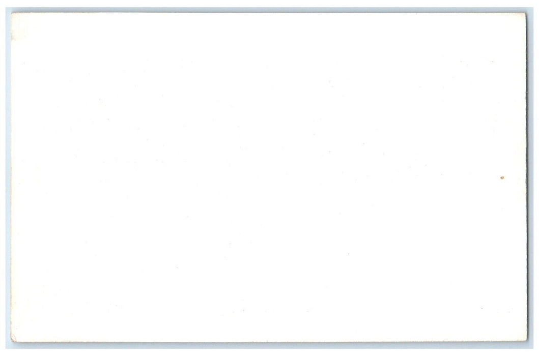 c1950's Alpaca Animal Frank Philips Ranch Woolaroc Oklahoma OK Vintage Postcard