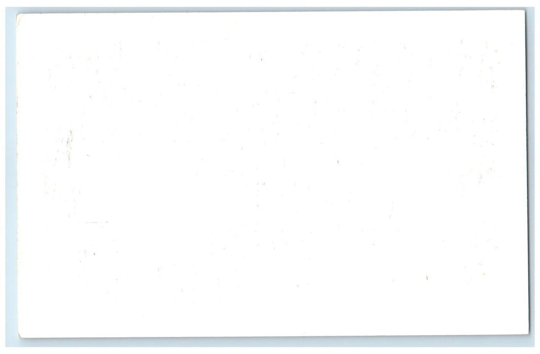 c1950's Ostrich Animal Frank Philips Ranch Woolaroc Oklahoma Vintage Postcard