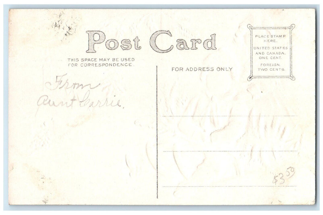 c1910's Joyful Christmas Greetings Sledding Winter Embossed Antique Postcard