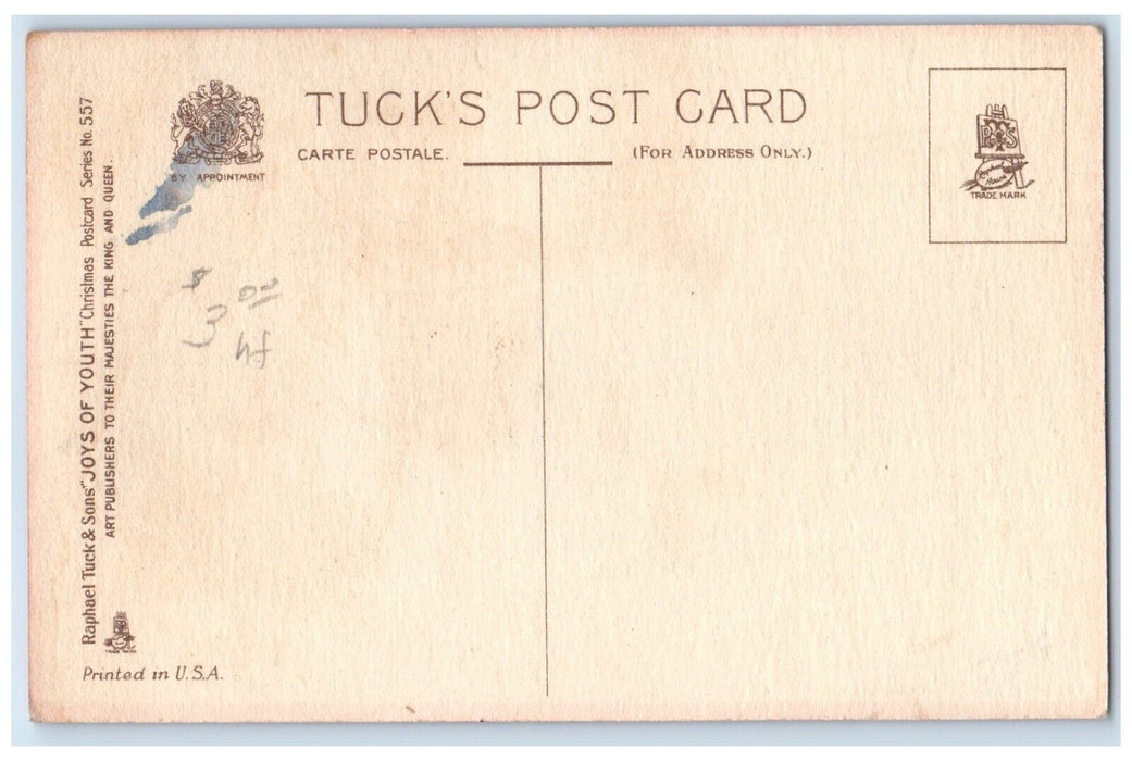 c1910's Christmas Boy Snowball Holly Berries Winter Tuck's Antique Postcard