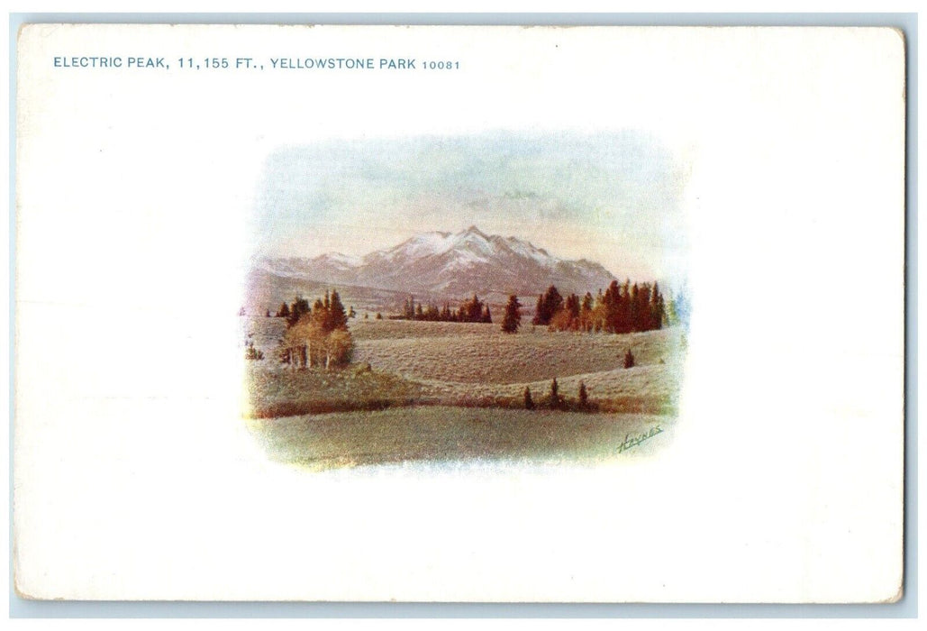 c1910 Electric Peak Mountain Exterior Field Yellowstone Park Wyoming WY Postcard