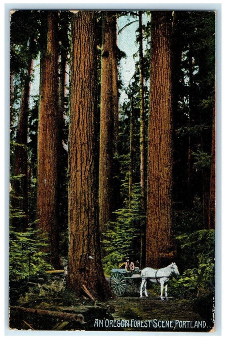 1910 Oregon Forest Scene Horse Carriage Trees Forest Portland Oregon OR Postcard