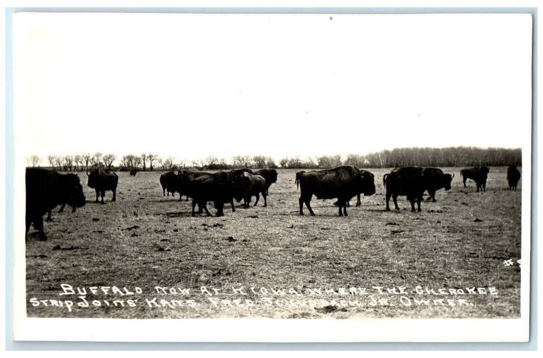 Buffalo At Kiowa Where Cherokee Strip Joints Kansas KS RPPC Photo Postcard
