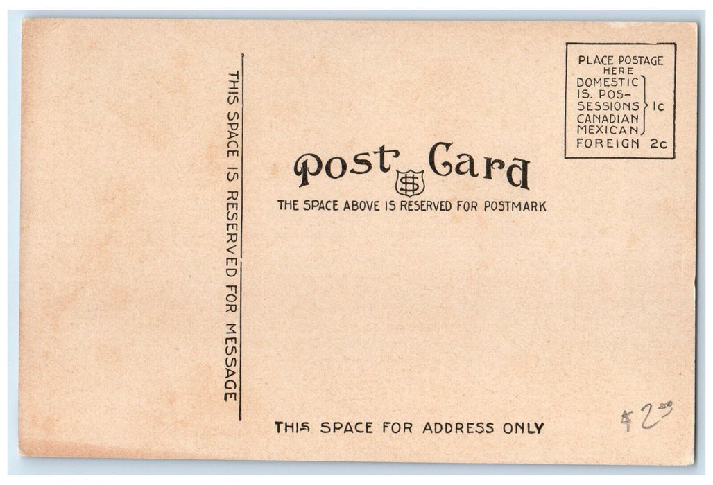 c1910's St. Agnes Academy Building Campus Alliance Nebraska NE Antique Postcard